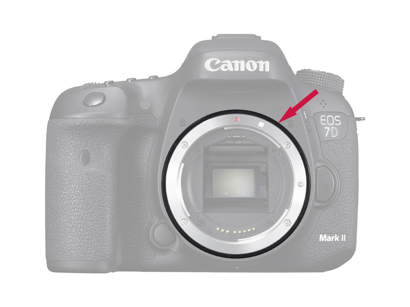 Canon Professional eXchange