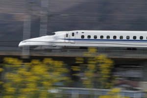 EF-S 55-250mm f/4-5.6 IS II - [佳能香港有限公司]
