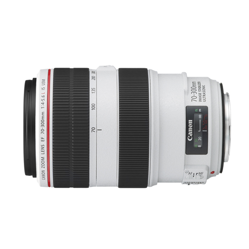 Canon EF70-300mm f4-5.6L IS USM 三脚座付-