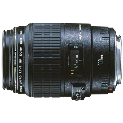 canon ef 100mm f2 8 macro is usm