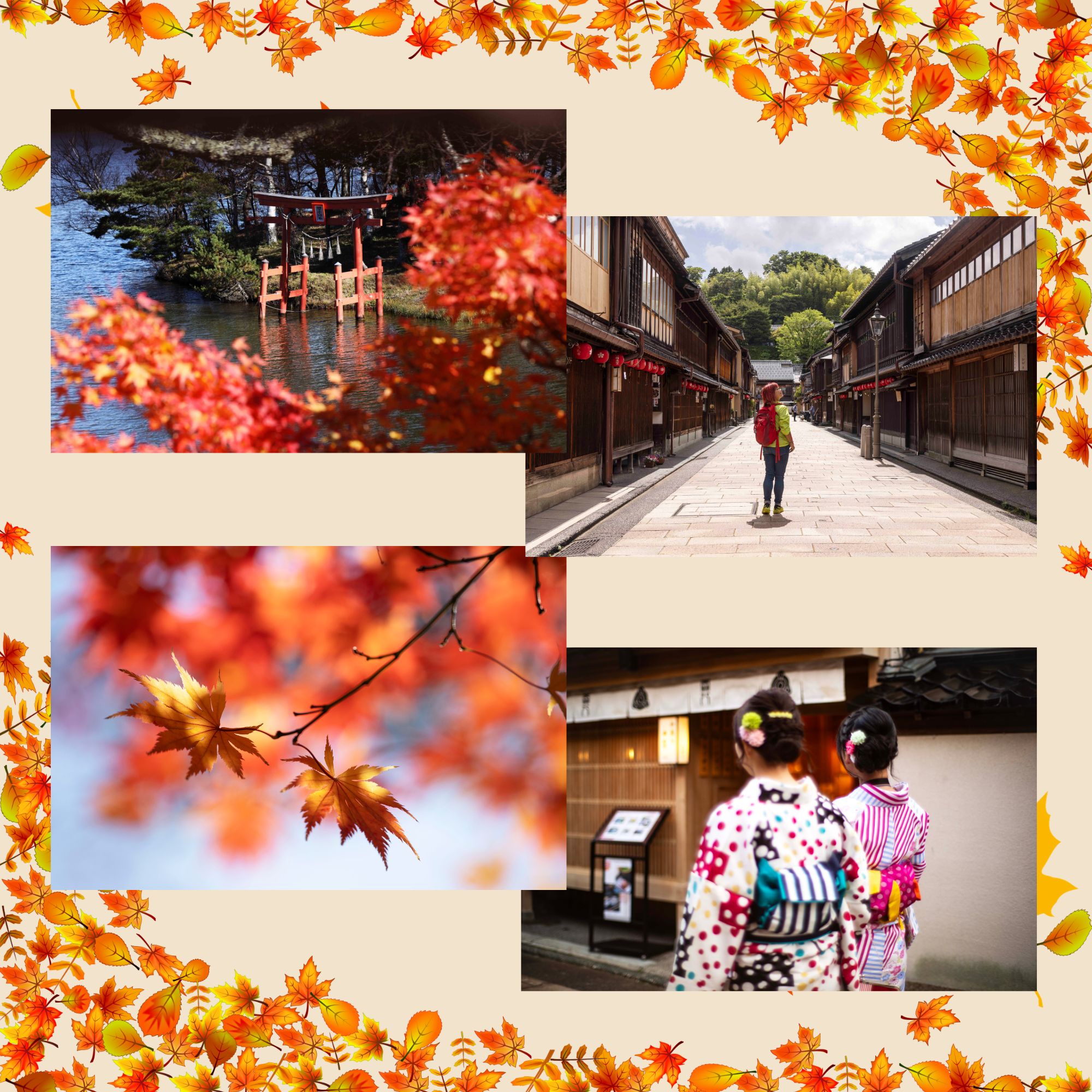 autumn_festival_photo