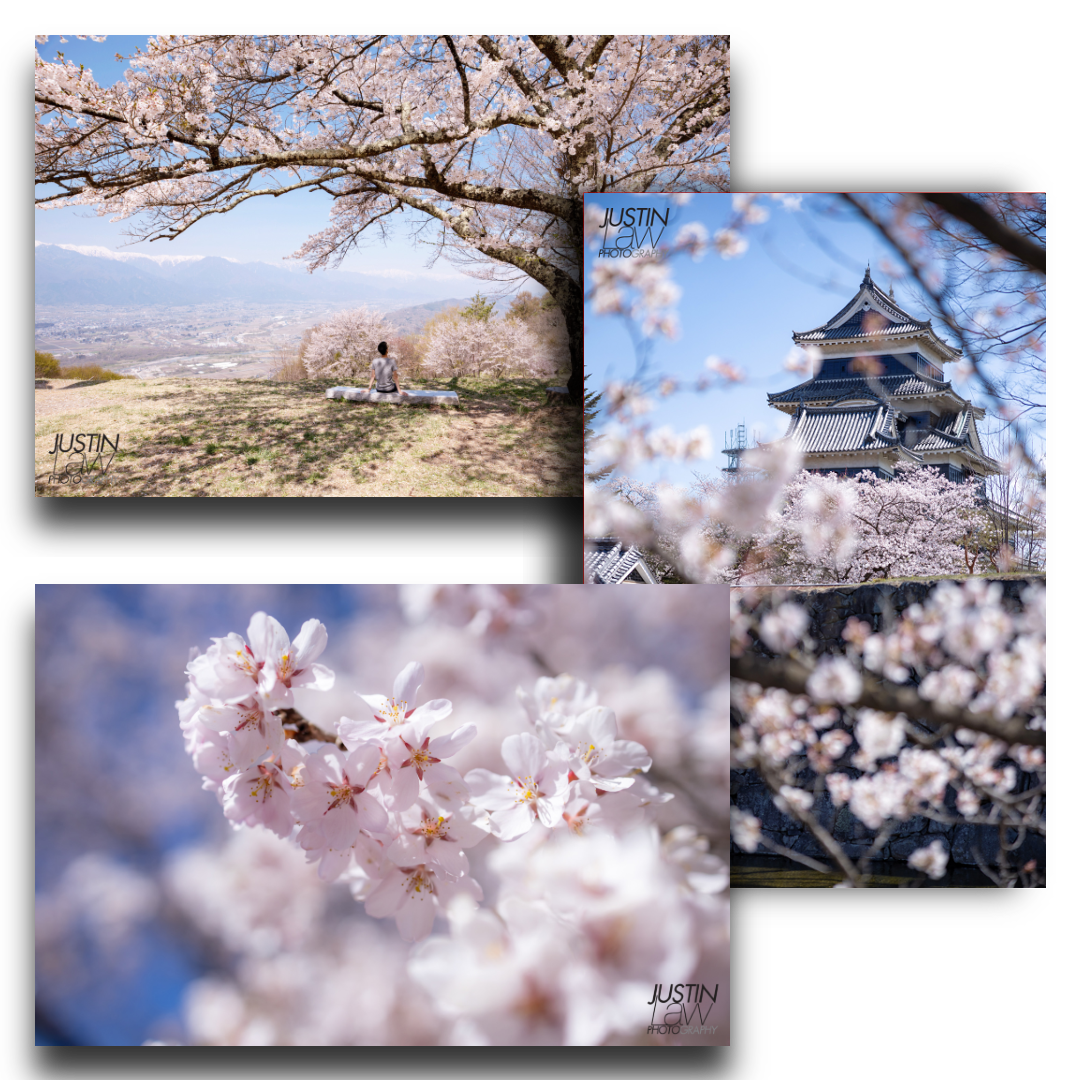 autumn_festival_photo
