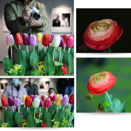 FLowerShow_Demo